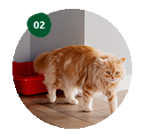 image teaser multiple